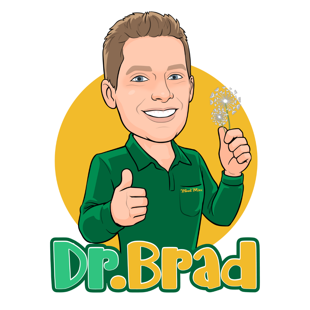 Dr Brad